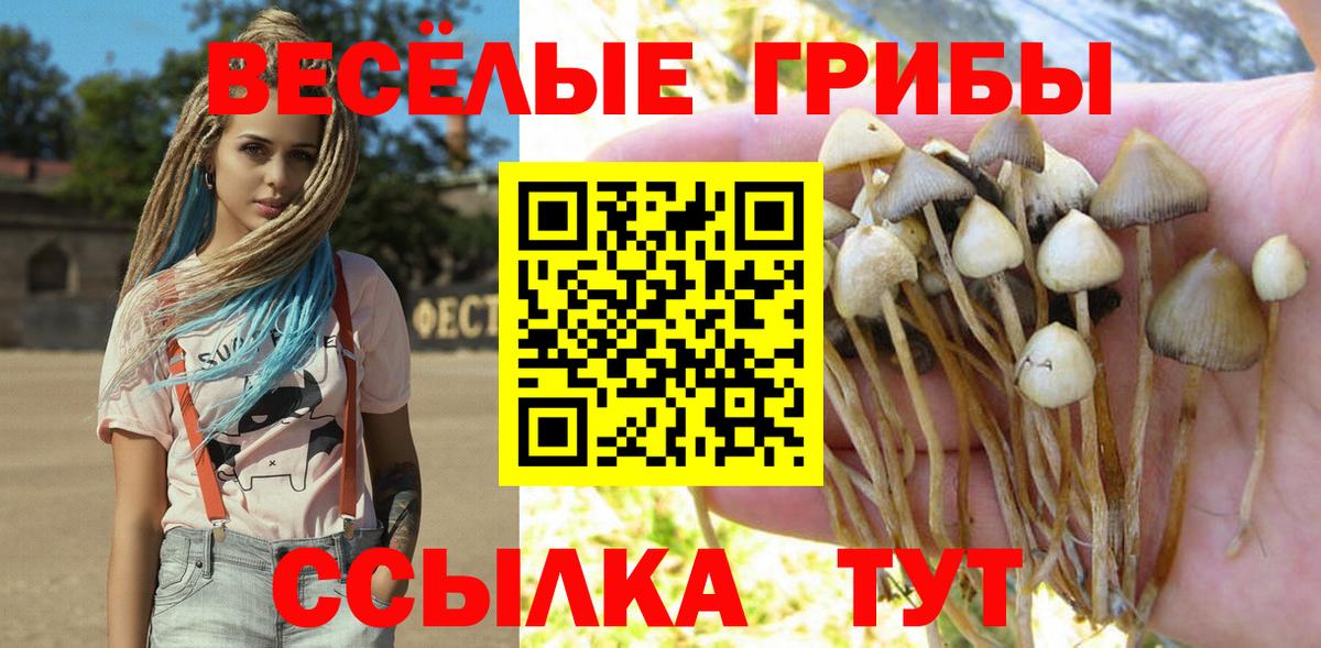 Томск  Псилоцибиновые грибы Psilocybine cubensis  Псилоцибиновые грибы Cubensis  Вход с VPN 