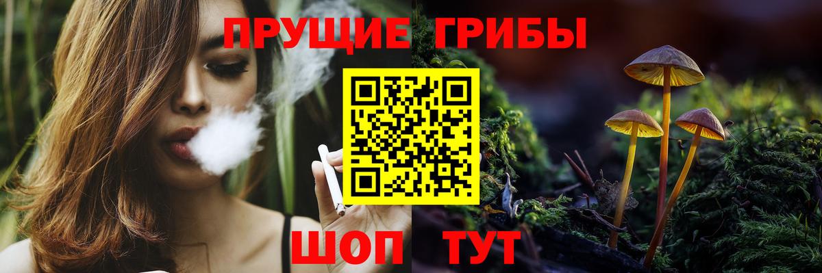 Псилоцибиновые грибы Psilocybe Томск